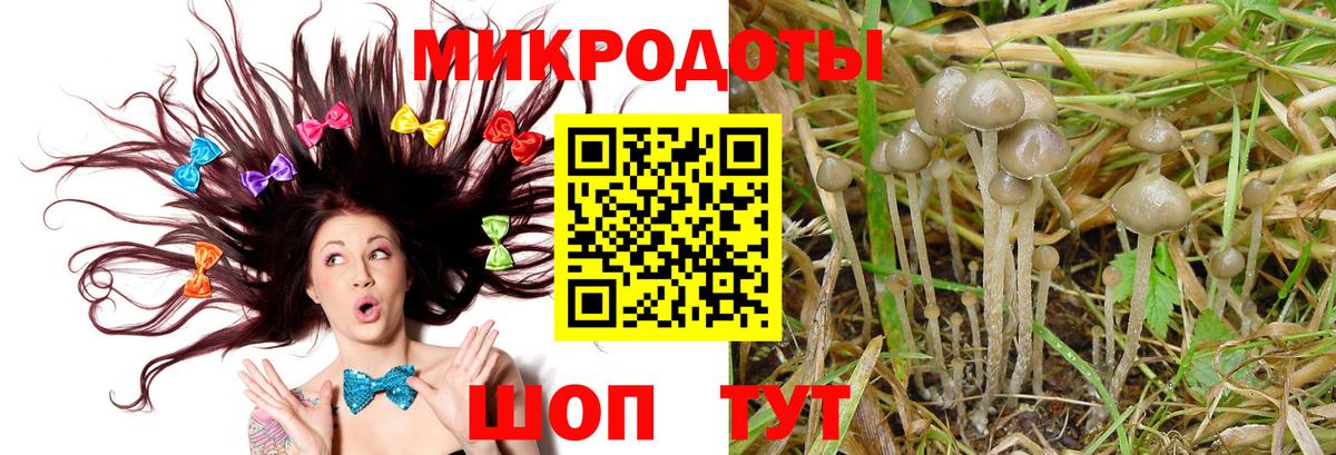 Галлюциногенные грибы MAGIC MUSHROOMS Кизляр