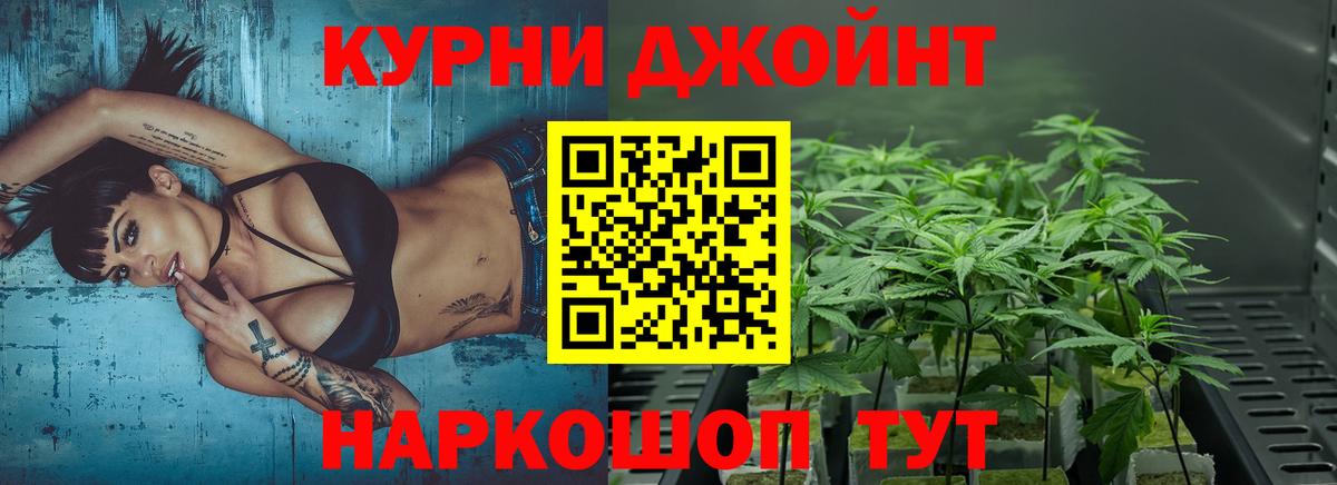 Конопля VHQ  Бошки марихуана план  Вход с VPN  Кизляр  Бошки марихуана сатива 